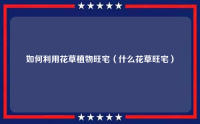 如何利用花草植物旺宅（什么花草旺宅）